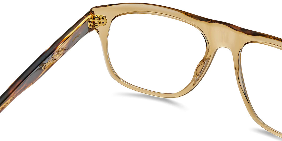Etnia Barcelona® Alcudia ETB 5 ALCUDI 55O BRHV - BRHV Brown/Havana Eyeglasses