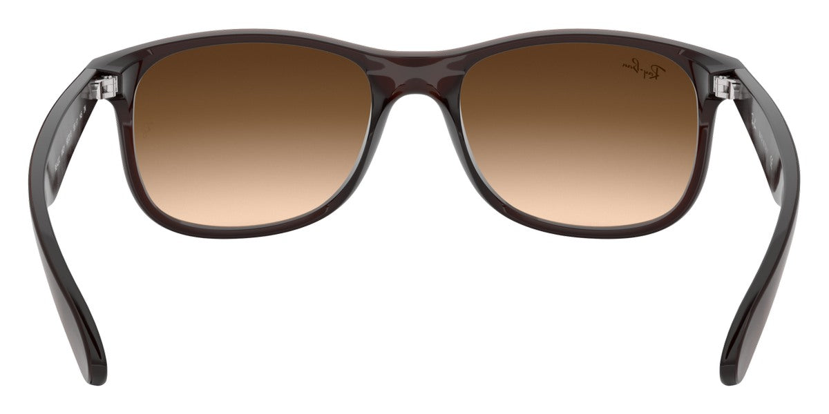 Ray-Ban® Andy RB4202   Sunglasses